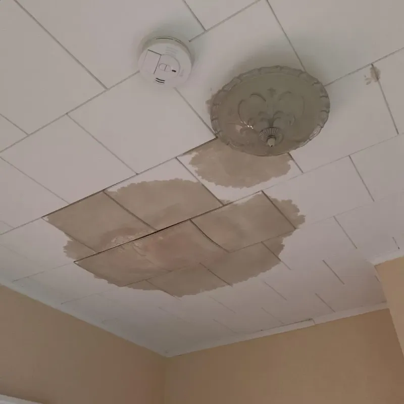Ceiling Water Damage Repair in Bemidji, MN