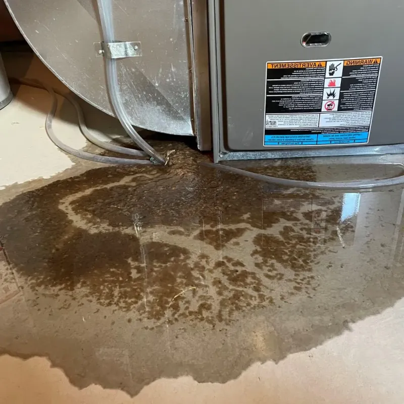Pipe Burst and Leak Restoration in Bemidji, MN